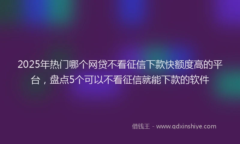 2025年热门哪个网贷不看征信下款快额度高的平台，盘点5个可以不看征信就能下款的软件