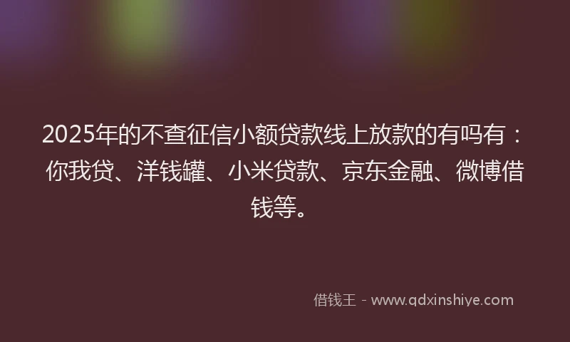 2025年的不查征信小额贷款线上放款的有吗有：你我贷、洋钱罐、小米贷款、京东金融、微博借钱等。