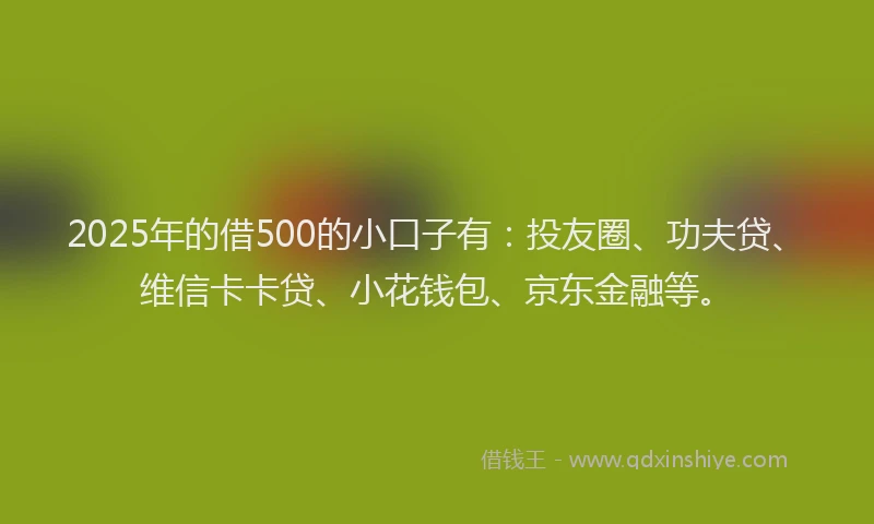 2025年的借500的小口子有：投友圈、功夫贷、维信卡卡贷、小花钱包、京东金融等。