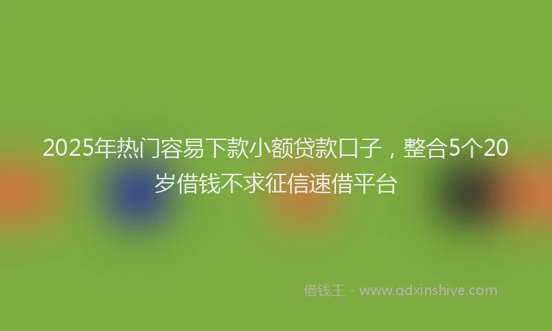 2025年热门容易下款小额贷款口子，整合5个20岁借钱不求征信速借平台
