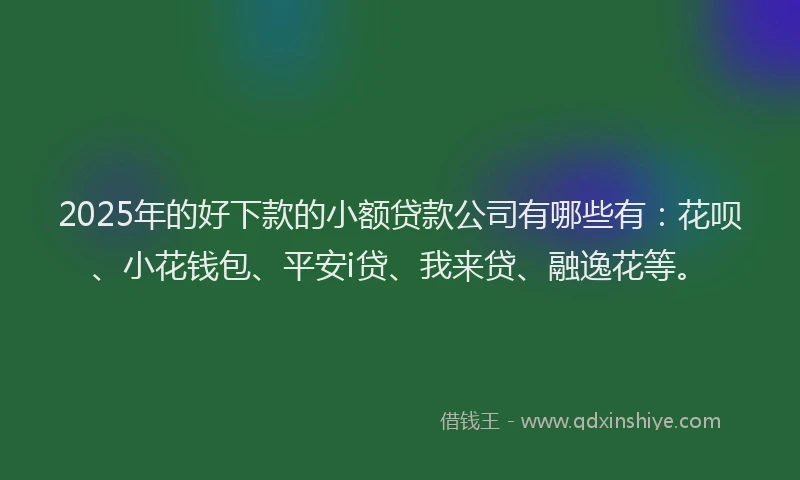 2025年的好下款的小额贷款公司有哪些有：花呗、小花钱包、平安i贷、我来贷、融逸花等。