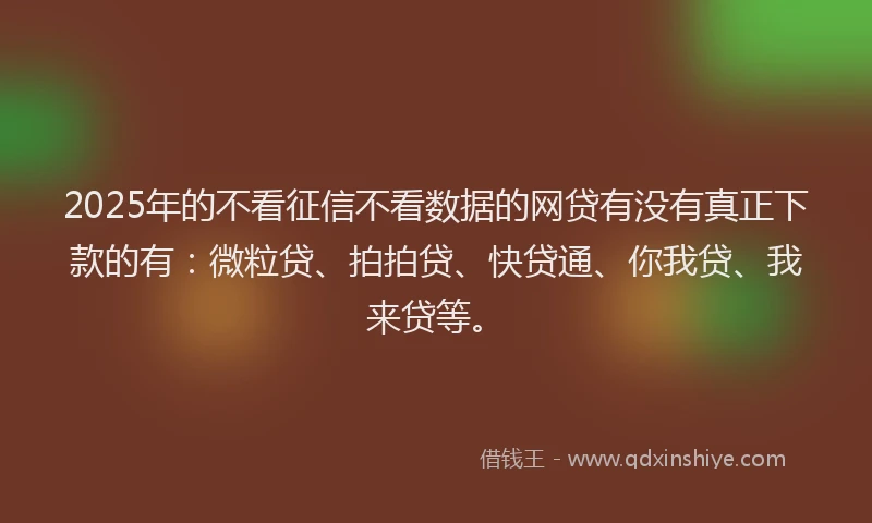 2025年的不看征信不看数据的网贷有没有真正下款的有：微粒贷、拍拍贷、快贷通、你我贷、我来贷等。