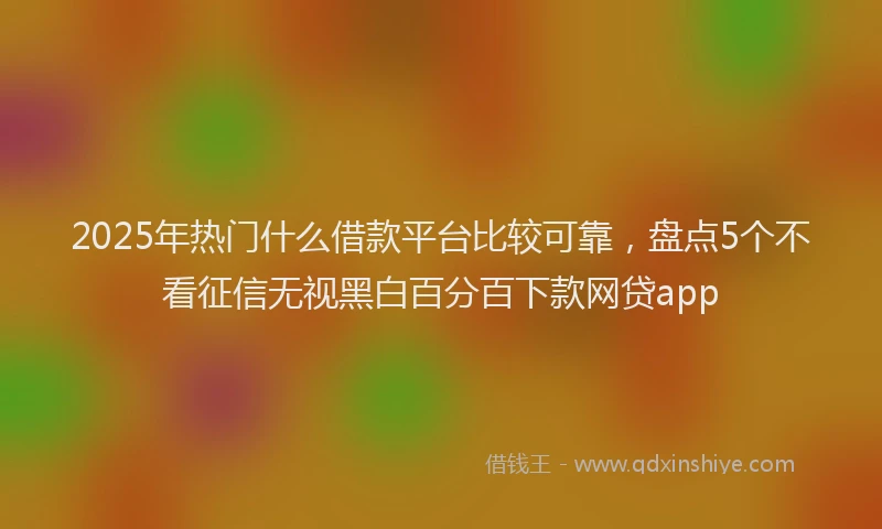 2025年热门什么借款平台比较可靠，盘点5个不看征信无视黑白百分百下款网贷app