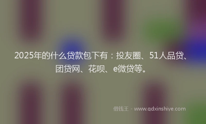 2025年的什么贷款包下有：投友圈、51人品贷、团贷网、花呗、e微贷等。