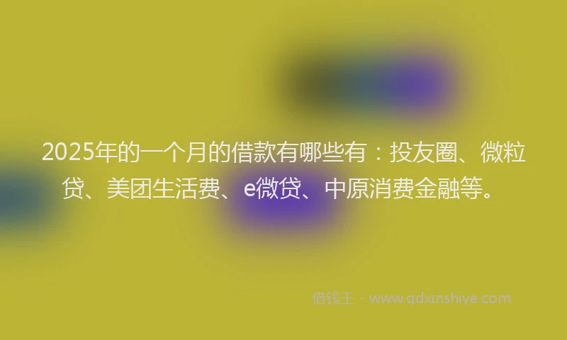 2025年的一个月的借款有哪些有：投友圈、微粒贷、美团生活费、e微贷、中原消费金融等。