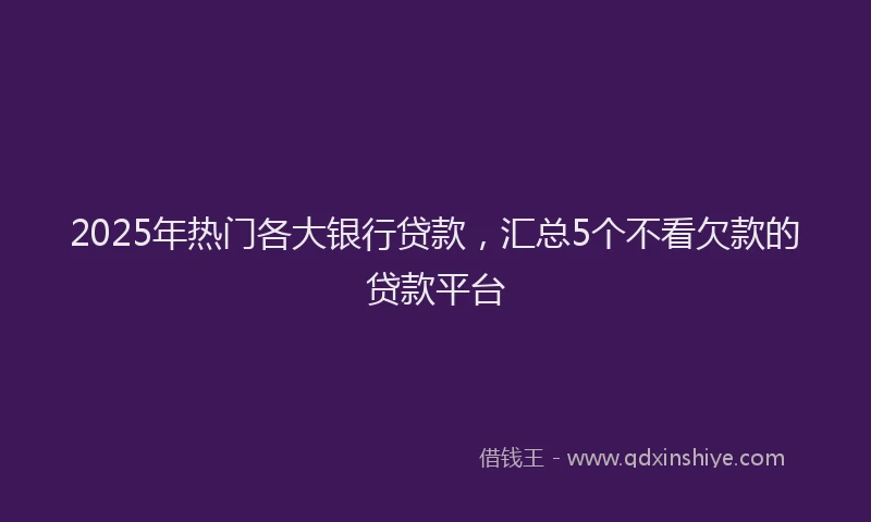 2025年热门各大银行贷款，汇总5个不看欠款的贷款平台