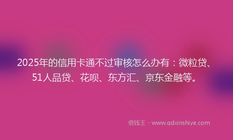 2025年的信用卡通不过审核怎么办有：微粒贷、51人品贷、花呗、东方汇、京东金融等。