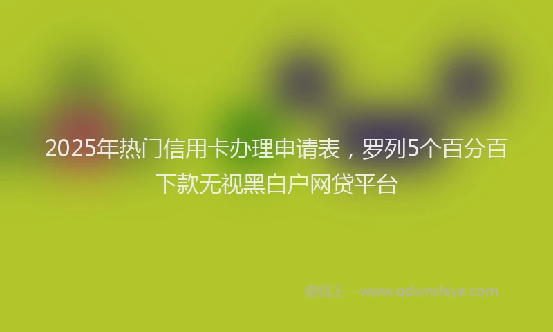 2025年热门信用卡办理申请表，罗列5个百分百下款无视黑白户网贷平台