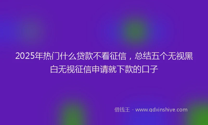 2025年热门什么贷款不看征信，总结五个无视黑白无视征信申请就下款的口子