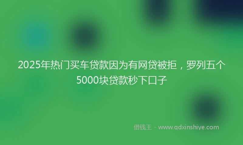 2025年热门买车贷款因为有网贷被拒，罗列五个5000块贷款秒下口子