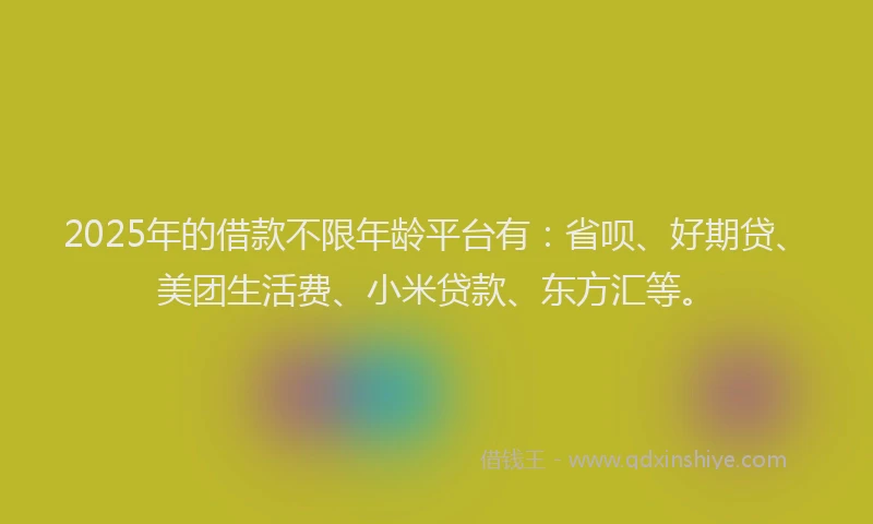 2025年的借款不限年龄平台有：省呗、好期贷、美团生活费、小米贷款、东方汇等。