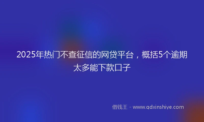 2025年热门不查征信的网贷平台，概括5个逾期太多能下款口子