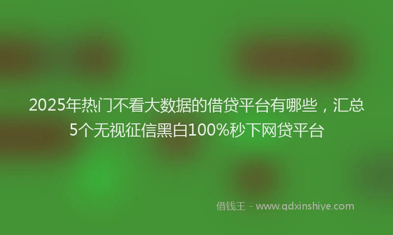 2025年热门不看大数据的借贷平台有哪些，汇总5个无视征信黑白100%秒下网贷平台