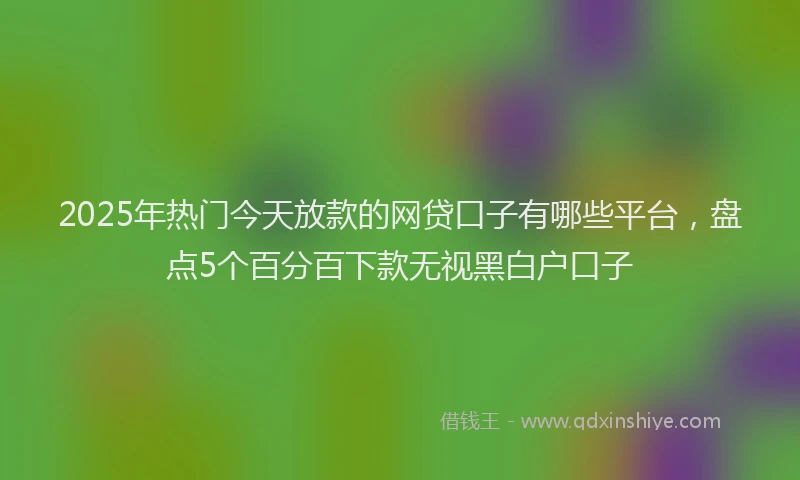 2025年热门今天放款的网贷口子有哪些平台，盘点5个百分百下款无视黑白户口子