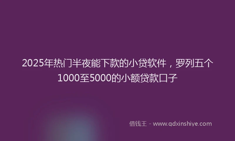 2025年热门半夜能下款的小贷软件，罗列五个1000至5000的小额贷款口子