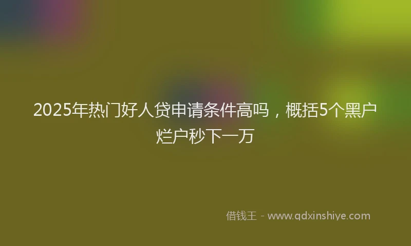 2025年热门好人贷申请条件高吗，概括5个黑户烂户秒下一万