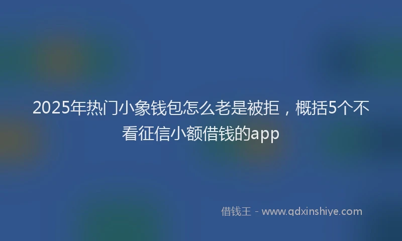 2025年热门小象钱包怎么老是被拒，概括5个不看征信小额借钱的app