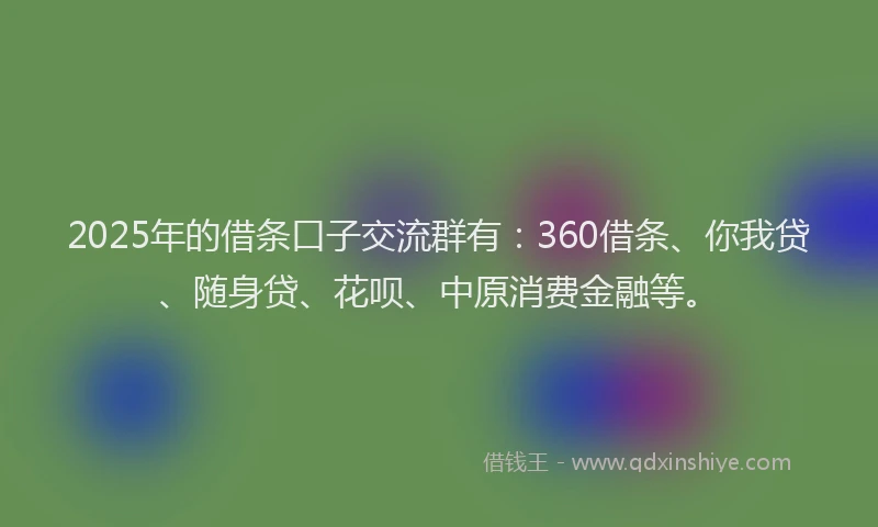 2025年的借条口子交流群有：360借条、你我贷、随身贷、花呗、中原消费金融等。
