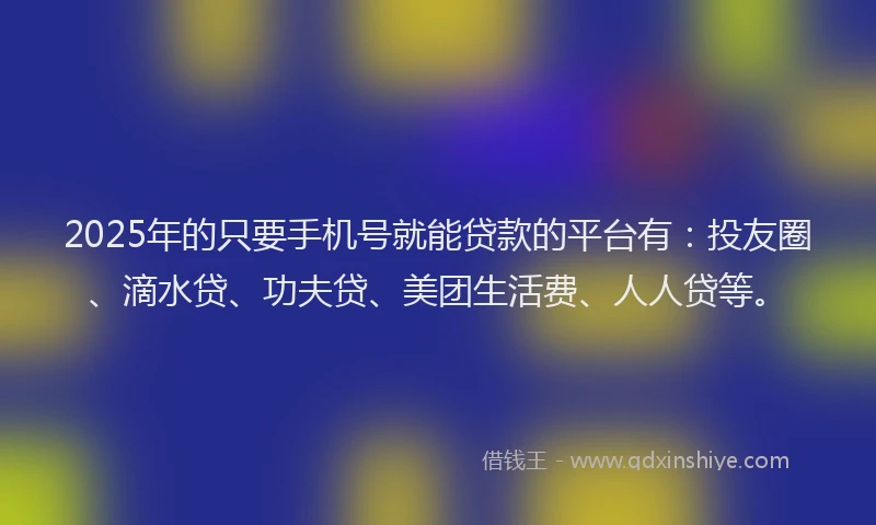2025年的只要手机号就能贷款的平台有：投友圈、滴水贷、功夫贷、美团生活费、人人贷等。