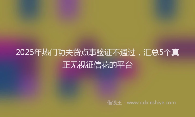 2025年热门功夫贷点事验证不通过，汇总5个真正无视征信花的平台