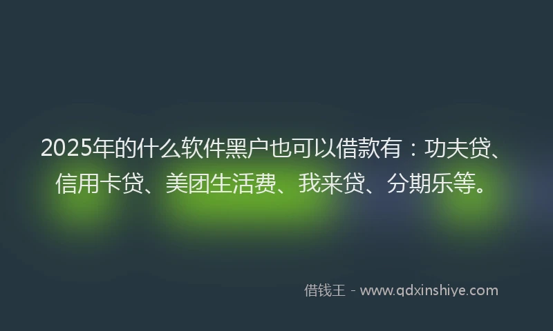 2025年的什么软件黑户也可以借款有：功夫贷、信用卡贷、美团生活费、我来贷、分期乐等。