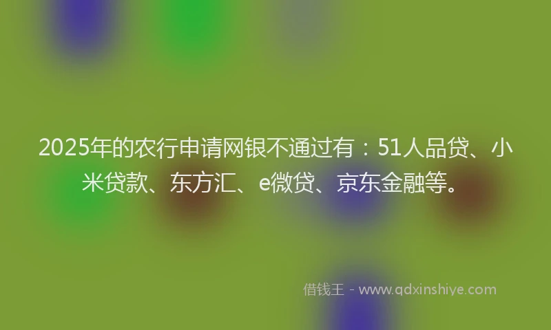 2025年的农行申请网银不通过有：51人品贷、小米贷款、东方汇、e微贷、京东金融等。