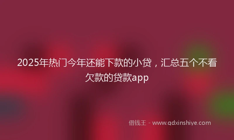 2025年热门今年还能下款的小贷，汇总五个不看欠款的贷款app