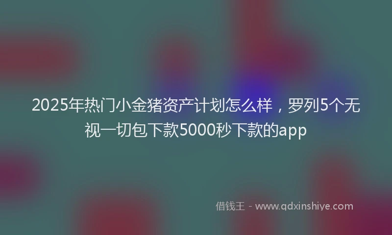 2025年热门小金猪资产计划怎么样，罗列5个无视一切包下款5000秒下款的app