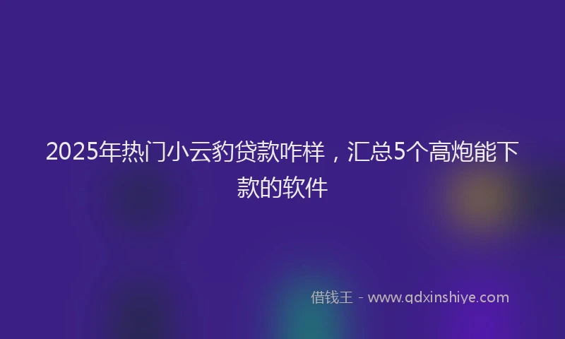 2025年热门小云豹贷款咋样,汇总5个高炮能下款的软件