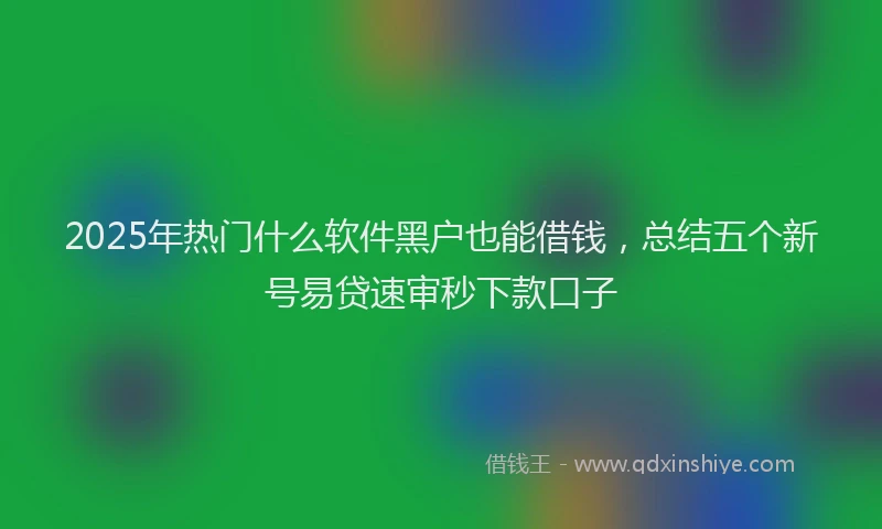 2025年热门什么软件黑户也能借钱，总结五个新号易贷速审秒下款口子