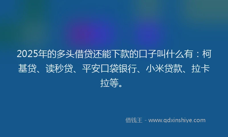 2025年的多头借贷还能下款的口子叫什么有：柯基贷、读秒贷、平安口袋银行、小米贷款、拉卡拉等。