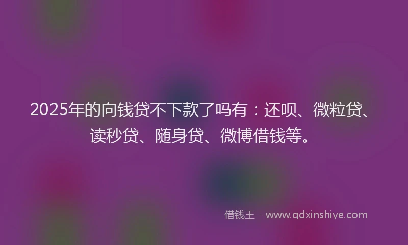 2025年的向钱贷不下款了吗有：还呗、微粒贷、读秒贷、随身贷、微博借钱等。