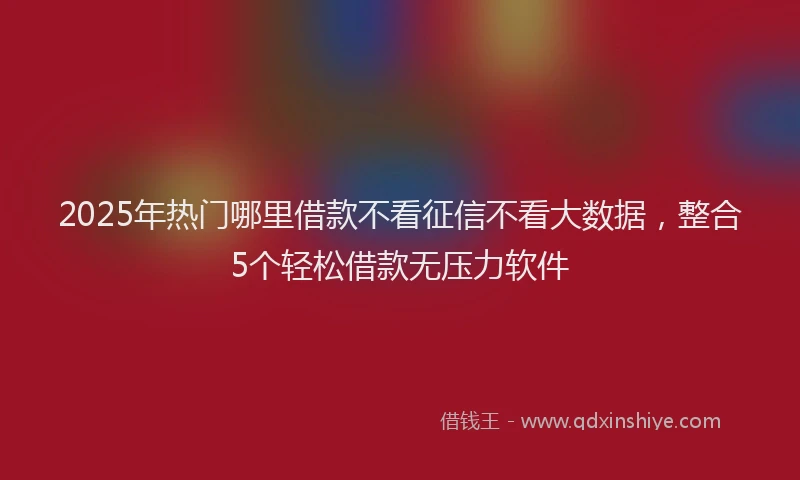 2025年热门哪里借款不看征信不看大数据，整合5个轻松借款无压力软件