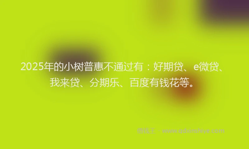 2025年的小树普惠不通过有:好期贷、e微贷、我来贷、分期乐、百度有钱花等。