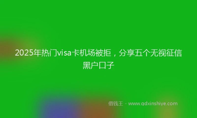 2025年热门visa卡机场被拒，分享五个无视征信黑户口子