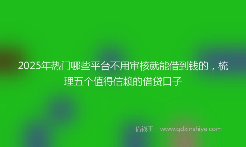 2025年热门哪些平台不用审核就能借到钱的，梳理五个值得信赖的借贷口子