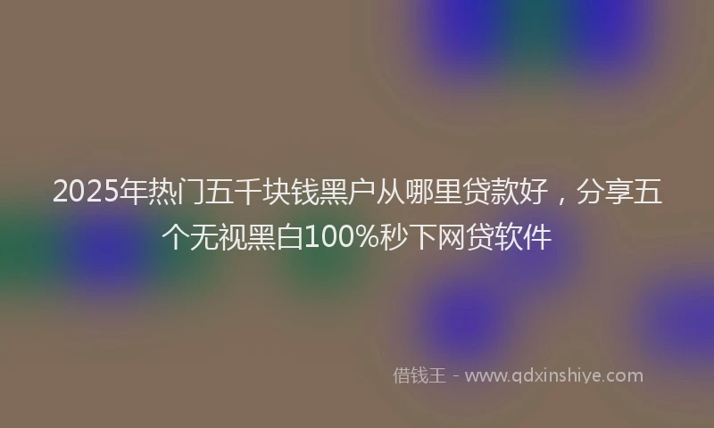 2025年热门五千块钱黑户从哪里贷款好，分享五个无视黑白100%秒下网贷软件