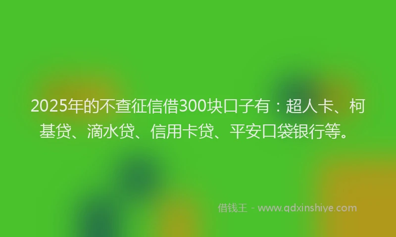 2025年的不查征信借300块口子有：超人卡、柯基贷、滴水贷、信用卡贷、平安口袋银行等。