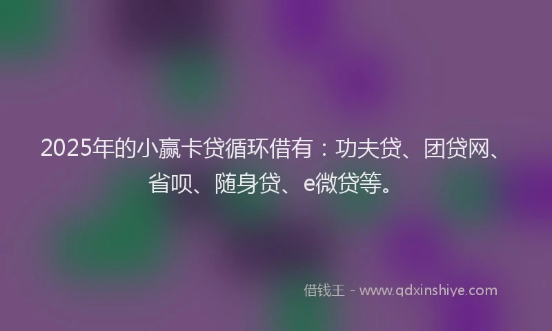 2025年的小赢卡贷循环借有：功夫贷、团贷网、省呗、随身贷、e微贷等。