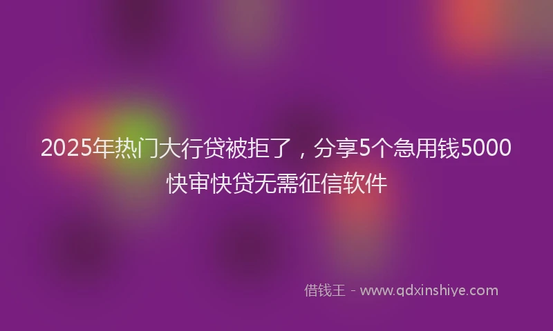 2025年热门大行贷被拒了，分享5个急用钱5000快审快贷无需征信软件
