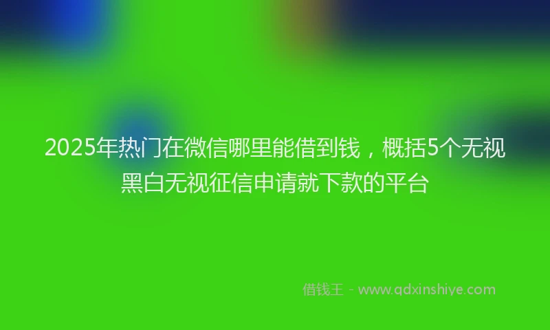 2025年热门在微信哪里能借到钱，概括5个无视黑白无视征信申请就下款的平台