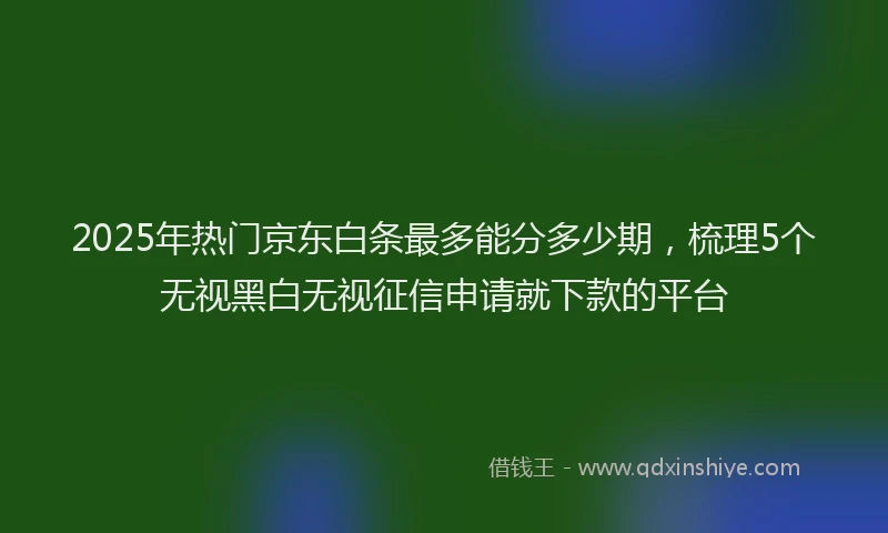 2025年热门京东白条最多能分多少期，梳理5个无视黑白无视征信申请就下款的平台