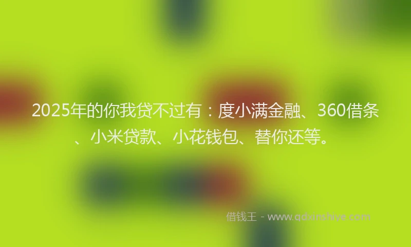 2025年的你我贷不过有：度小满金融、360借条、小米贷款、小花钱包、替你还等。