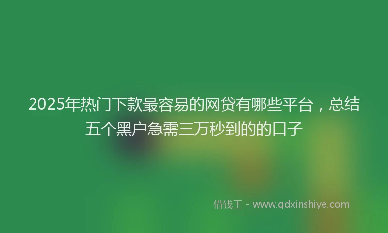 2025年热门下款最容易的网贷有哪些平台，总结五个黑户急需三万秒到的的口子