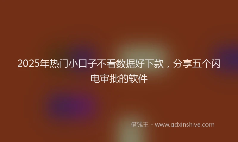 2025年热门小口子不看数据好下款，分享五个闪电审批的软件