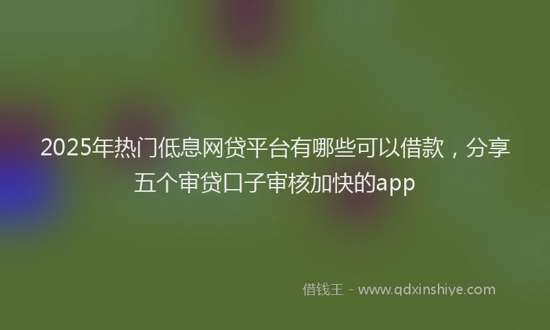 2025年热门低息网贷平台有哪些可以借款，分享五个审贷口子审核加快的app
