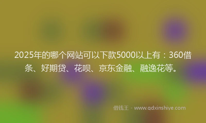 2025年的哪个网站可以下款5000以上有：360借条、好期贷、花呗、京东金融、融逸花等。