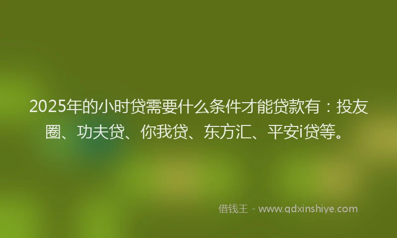 2025年的小时贷需要什么条件才能贷款有：投友圈、功夫贷、你我贷、东方汇、平安i贷等。