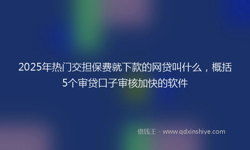 2025年热门交担保费就下款的网贷叫什么，概括5个审贷口子审核加快的软件