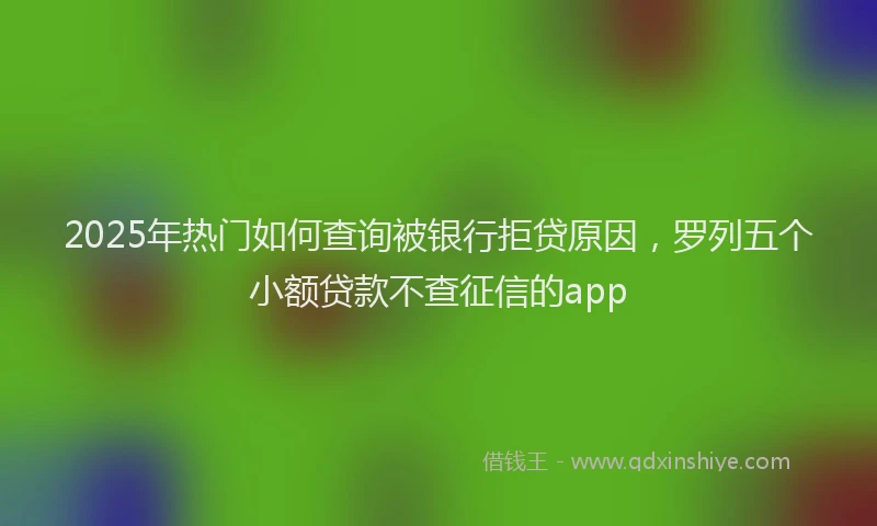 2025年热门如何查询被银行拒贷原因，罗列五个小额贷款不查征信的app